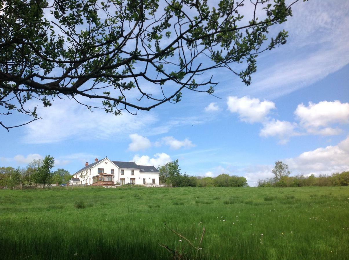 Apartmán Penddaulwyn Uchaf Farm # Carmarthenshire Nantgaredig Exteriér fotografie