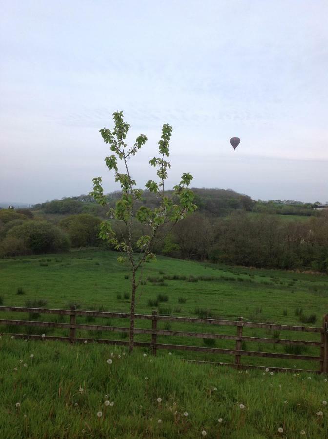 Apartmán Penddaulwyn Uchaf Farm # Carmarthenshire Nantgaredig Exteriér fotografie